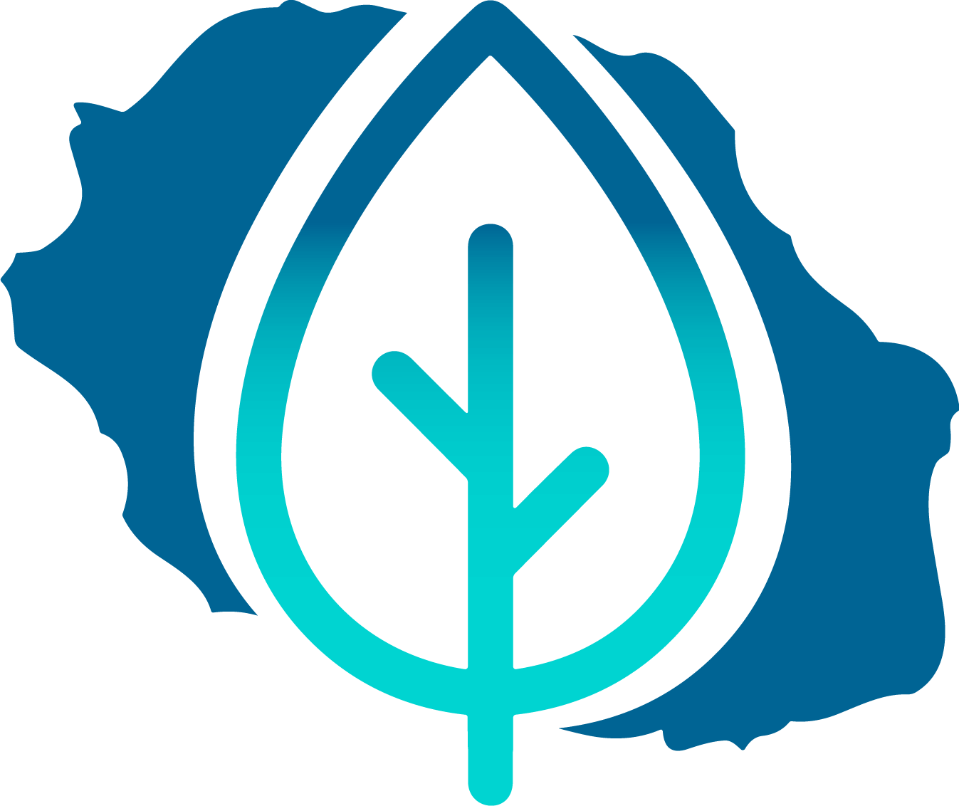 logo naturopathie